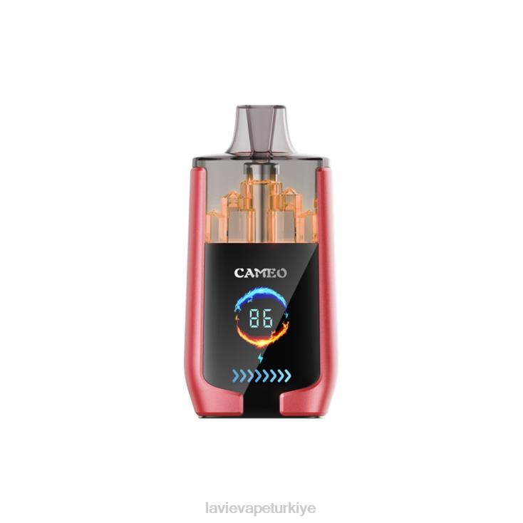 Lavie Vape Review 848HZ14 LAVIE CAMEO 30000 nefes karpuz buzu