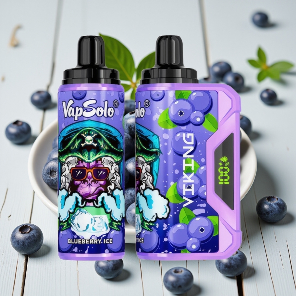 VapSolo VIKING 12000 Puffs Tek Kullanımlık Vape Yaban Mersini, 22ml, 20/50 mg/ml, Type-C