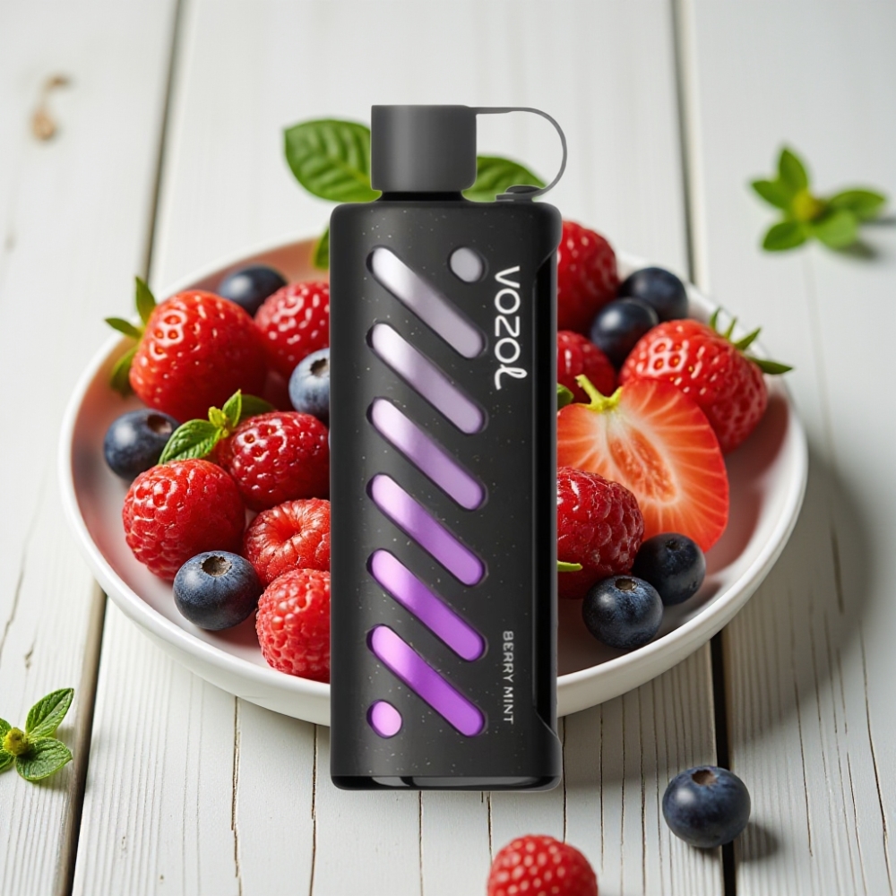 VOZOL Gear Shisha 25000 Puffs Çilek Nane | 1000mAh, 5mg/ml, Dual Mesh